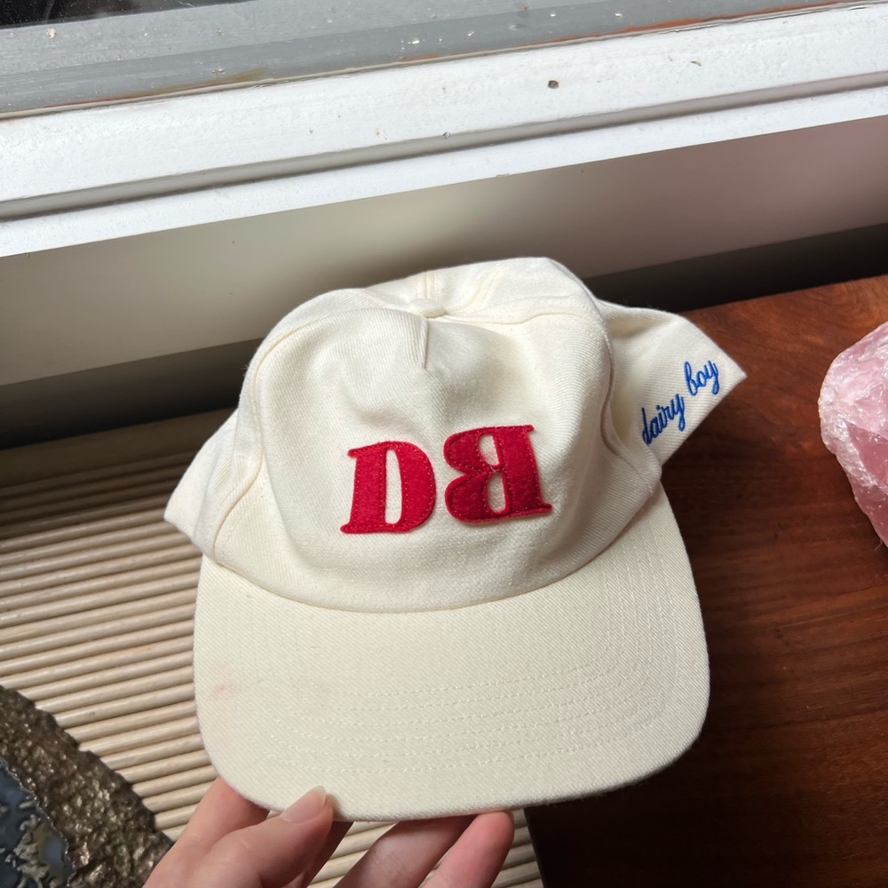 Dairy boy DB hat